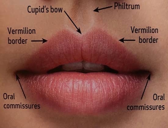 lips